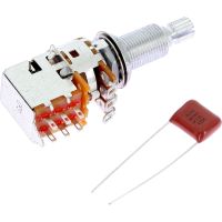 Fishman POTENTIOMETRE FLUENCE PUSH PULL LONG 25K - Vue 1